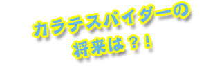 カラテスパイダーの将来は？